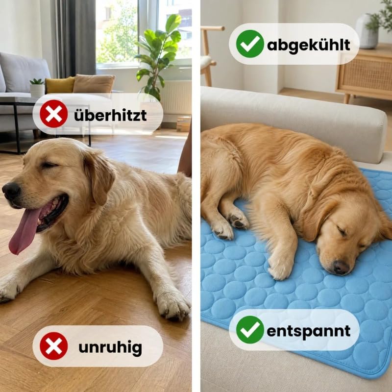 AILISK FellStern Kühlmatte