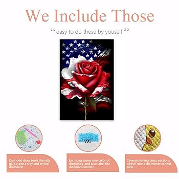 Amazon.com: Worihut American Flag Rose Diamond Painting