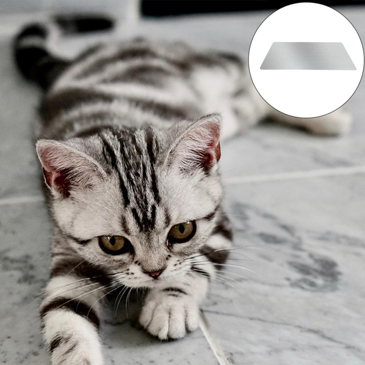 INOOMP Aluminium Kühlmatten Glatte Oberfläche Leicht zu Reinigen 2 Stück für Haustiere und Kaninchen für Sommer und Zuhause der Tiere