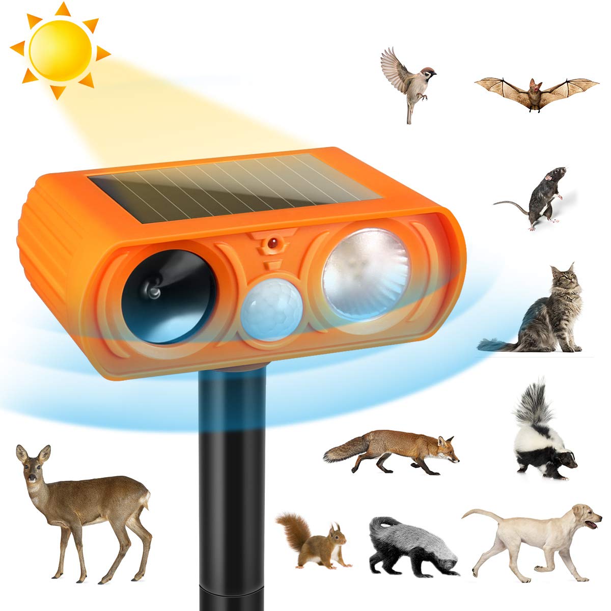 Cat Motion Sensor Spray at Dorthy Williams blog