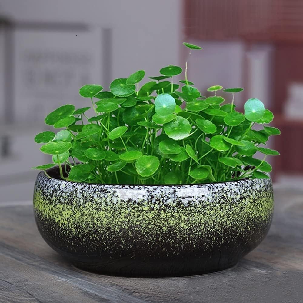 Ceramiczna doniczka na kwiaty, 18 cm, retro, okrągła, duża, płytka, glazurowana, doniczki, na zewnątrz, sukulenty, doniczki, bonsai, ogród, dekoracyjny parapet, dekoracja ogrodowa, prezent