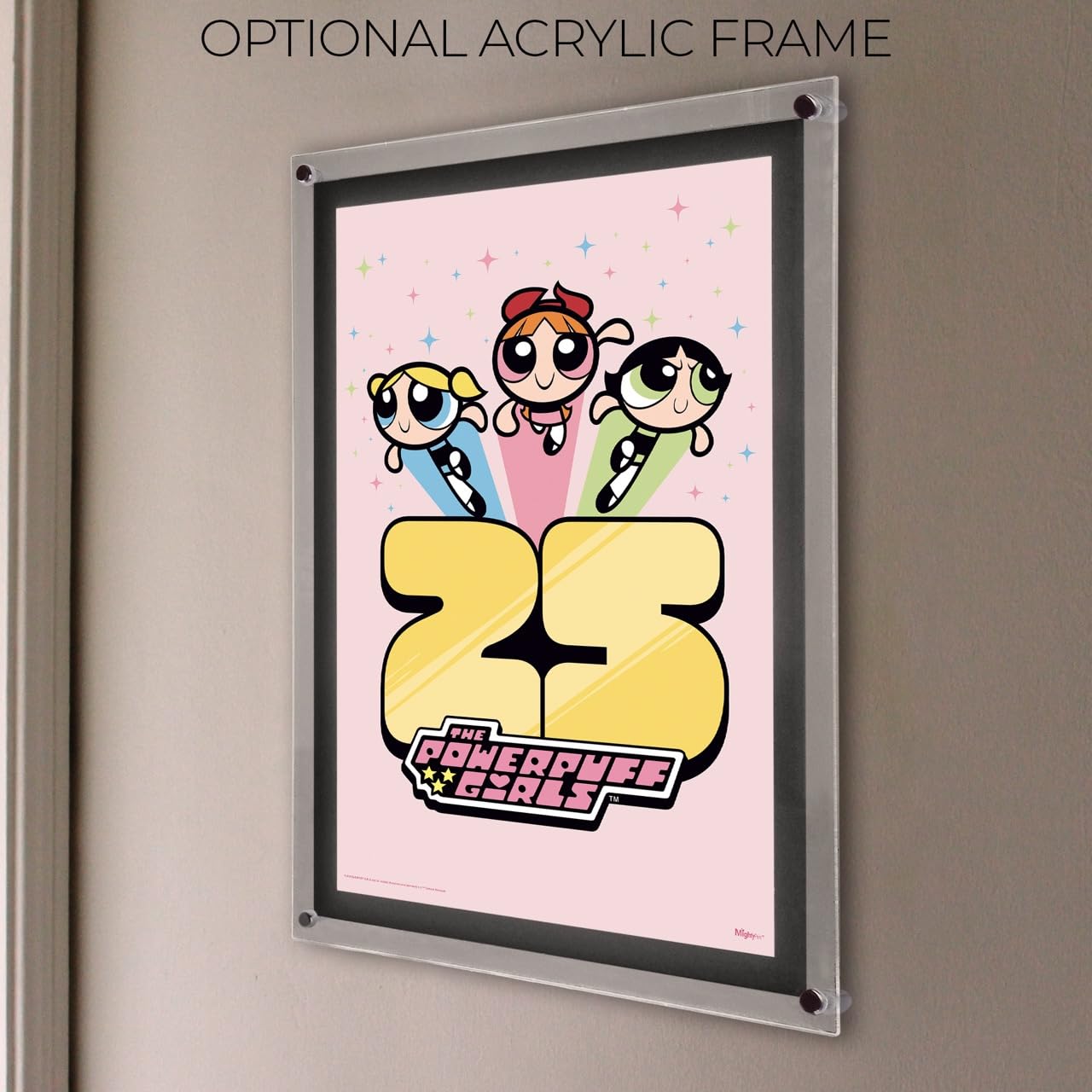 Amazon.com: MIGHTYPRINT The Powerpuff Girls – 25th Anniversary