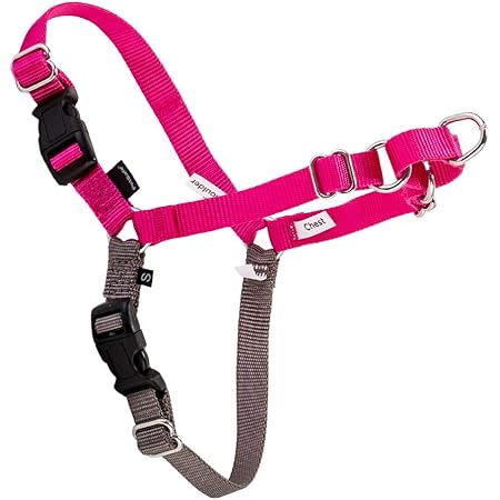 Amazon ペットセーフ Petsafe 犬用 ハーネス イージーウォーク 小型 中型犬 S サイズ Easy Walk Harness S Ewh Hc S Ras ラズベリーピンク グレー Raspberry 散歩 トレーニング ペット 犬 並行輸入品 Petsafe ハーネス 通販