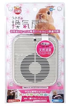 うさぎ 10/19まで 小さいよじ登りウサギ 2個組 通販 - ディノス