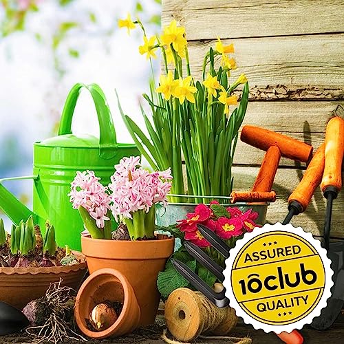 Kraft Seeds Garden Tool Kit - 9 Pcs (Weeder, Trowels, Hand Fork, Cultivator, Scissors, Pruner, Gardening Hand Gloves, Spray Pump) | Durable Gardening Tools | Home Gardening Hand Tool Set