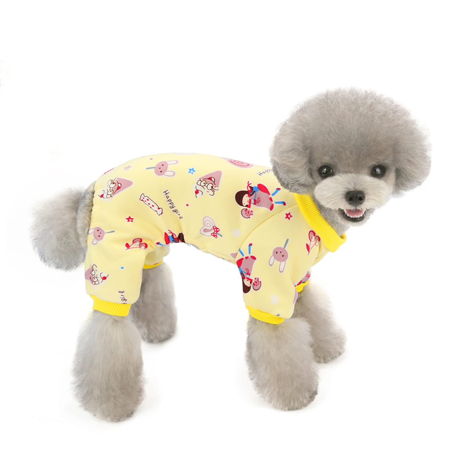 Vêtements pour chien en soie de lait pull d'hiver haut de gamme