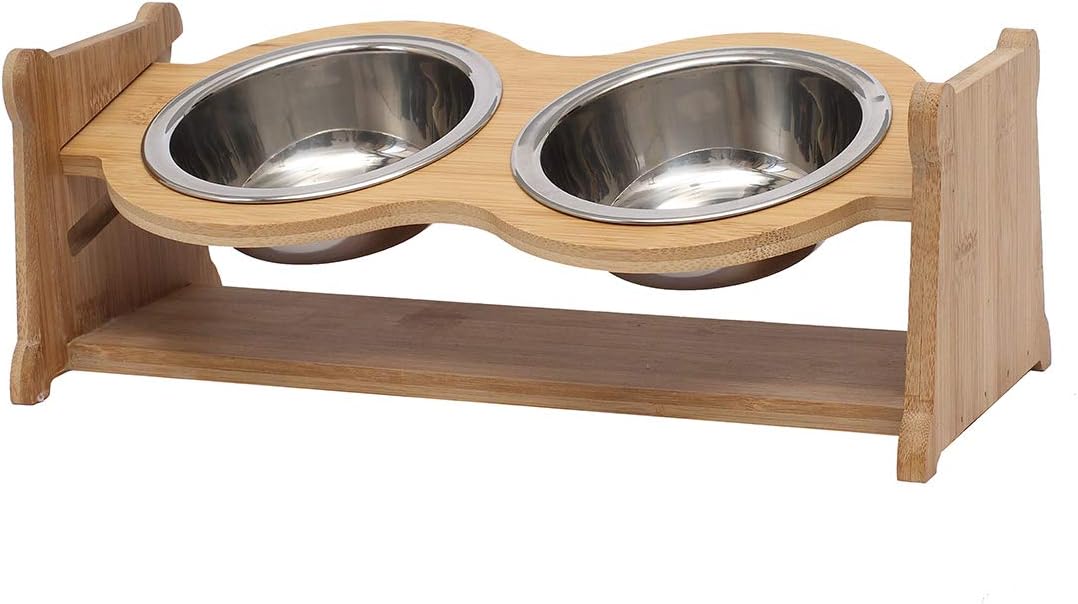 supporto digestivo per gatti