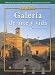 Galeria De Arte Y Vida Spanish, Nivel Avanzado(Writing Activities Workbook and Audio Activities) (Spanish Edition)