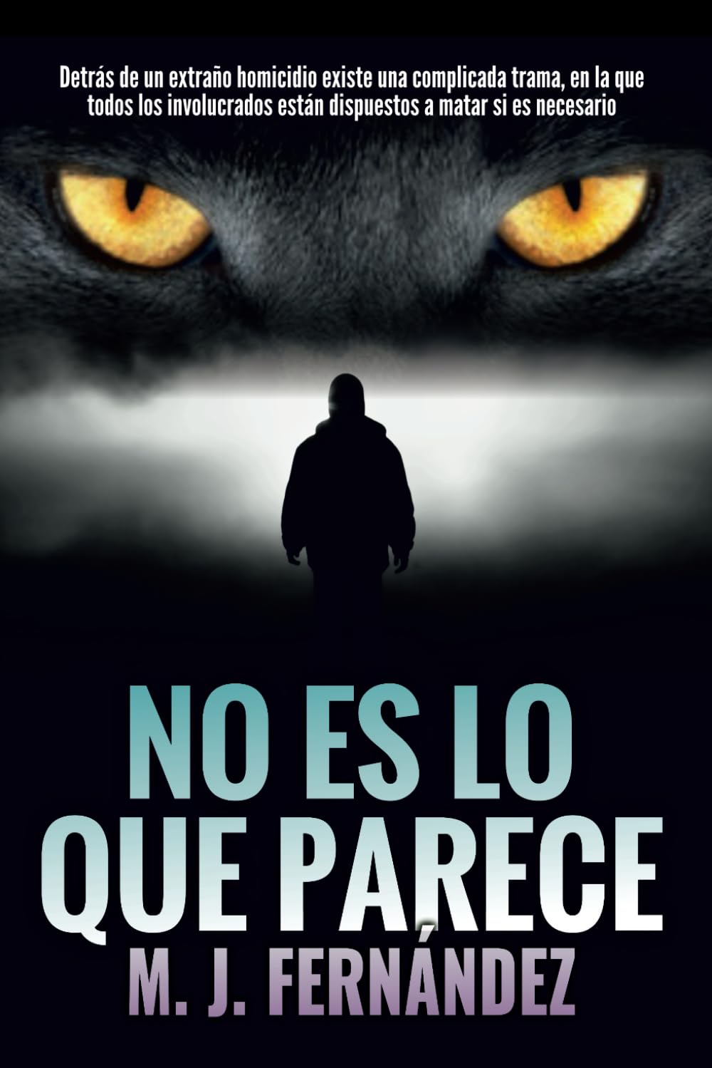 No es lo que parece.: Un caso del inspector Salazar. (Serie del inspector Salazar)