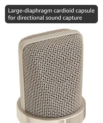 Amazon.com: Neumann TLM 102 Large-Diaphragm Condenser Microphone