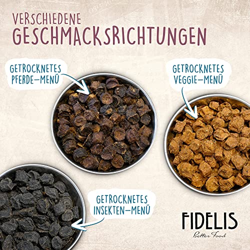 Fidelis - Getrocknetes Lachs-Menü für Hunde 1kg - Premium Hundefutter trocken mit 80% Fischanteil, Gemüse & Obst - Proteinhaltiges Trockenfutter Hund schonend getrocknet - Zucker- & Getreidefrei