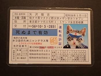 Amazon.co.jp: ネオ昭和 なめ猫 免許証 初期モノ 特攻 昭和デス 矢沢猫