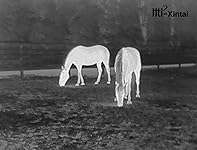 Review Image by B&K B&K