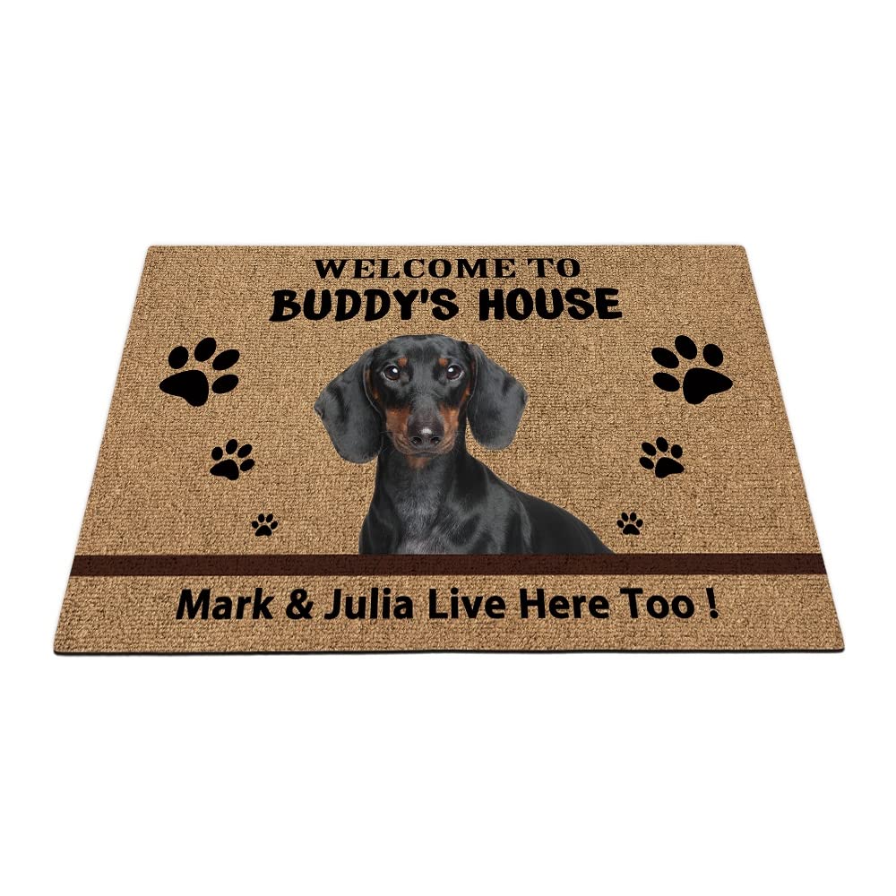Felpudo Divertidos Alfombra Puerta Fácil De Limpiar Felpudo Exterior para Interior Entrada Casa Jardín 40X60cm Perro Salchicha Divertido Personalizado, Patas Fangosas
