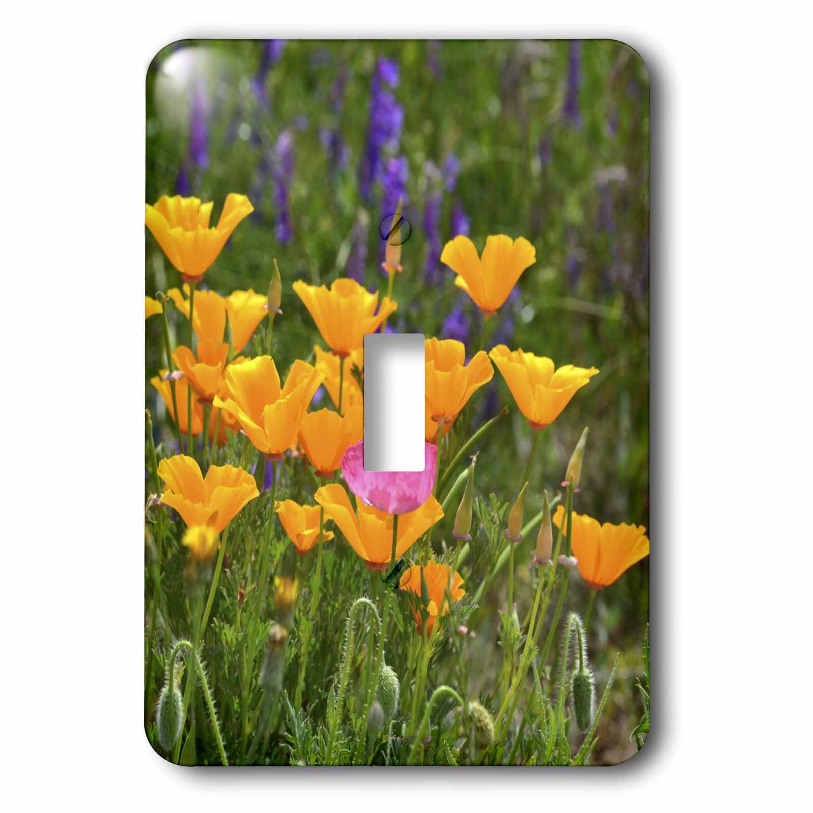 Interruptor de amapolas naranjas para decorar salones en primavera 1