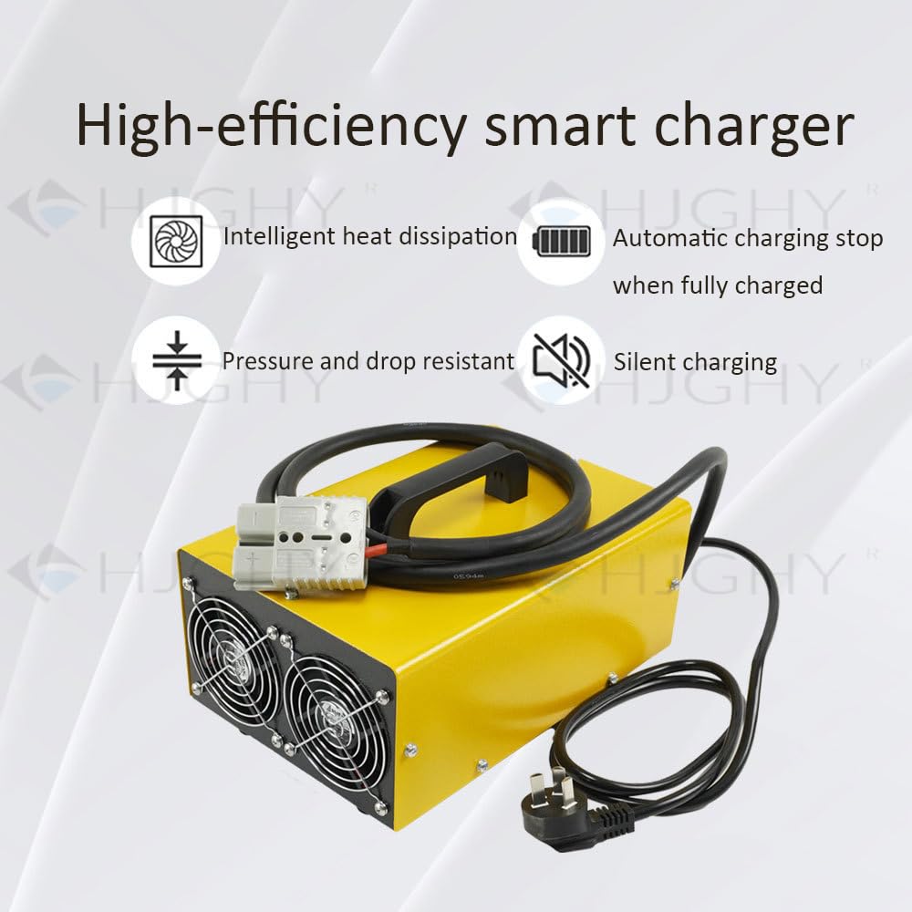 Caricabatterie per carrelli elevatori da 48 V 30 Ah, batteria al piombo