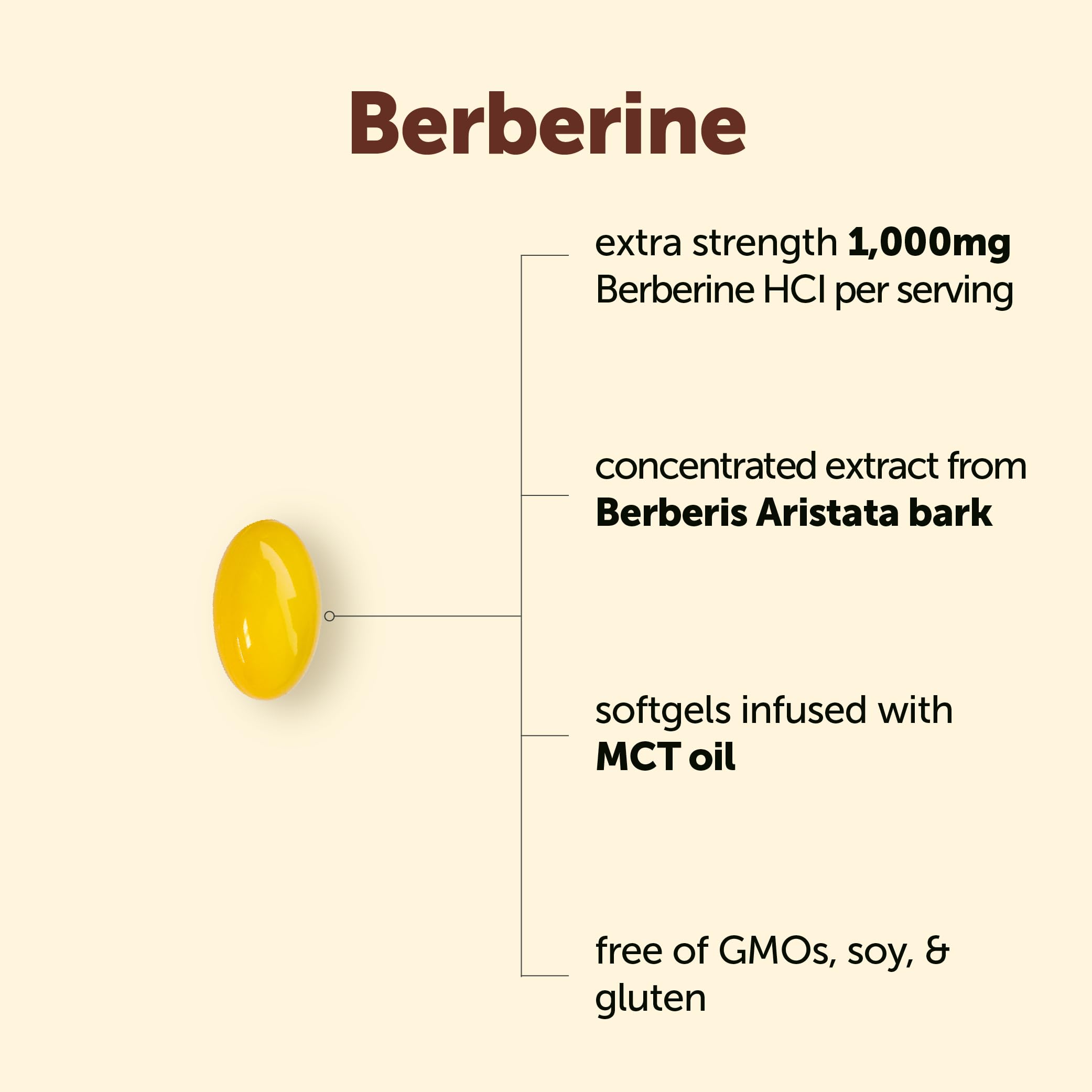 Micro Ingredients Berberine 1000mg with MCT Oil, 240 Softgels — Amazon image 3