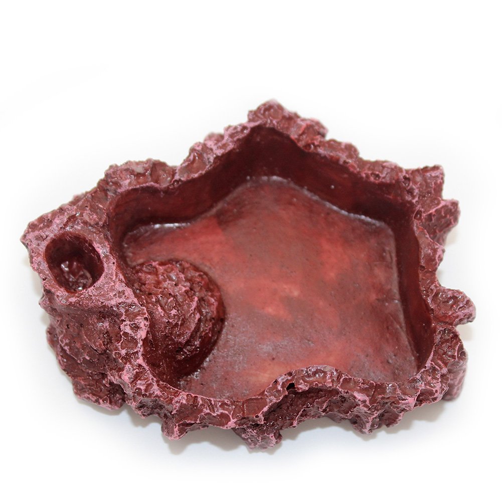 OMEM Reptile Natural Bowl Food and Water Dish Resin Made (Red S)