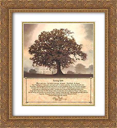 Living Life 2X Matted 20x24 Gold Ornate Framed Art Print by Bonnie Mohr