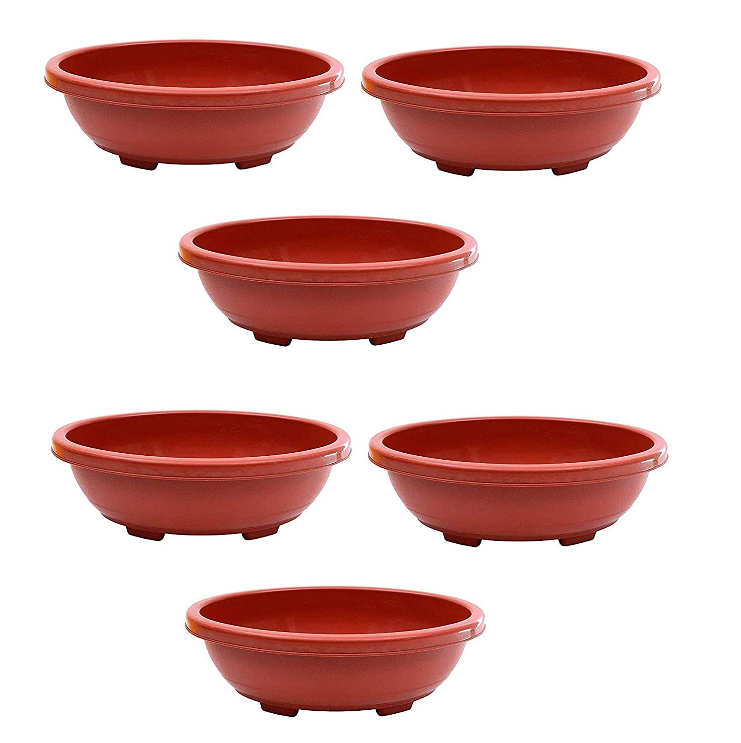 Varshney Gardening Plastic Terracotta Bonsai Tray (12 inch, 5 Pcs) Planters Home Decore Plant Pot (B0C6L368CY) Amazon Price History, Amazon Price Tracker