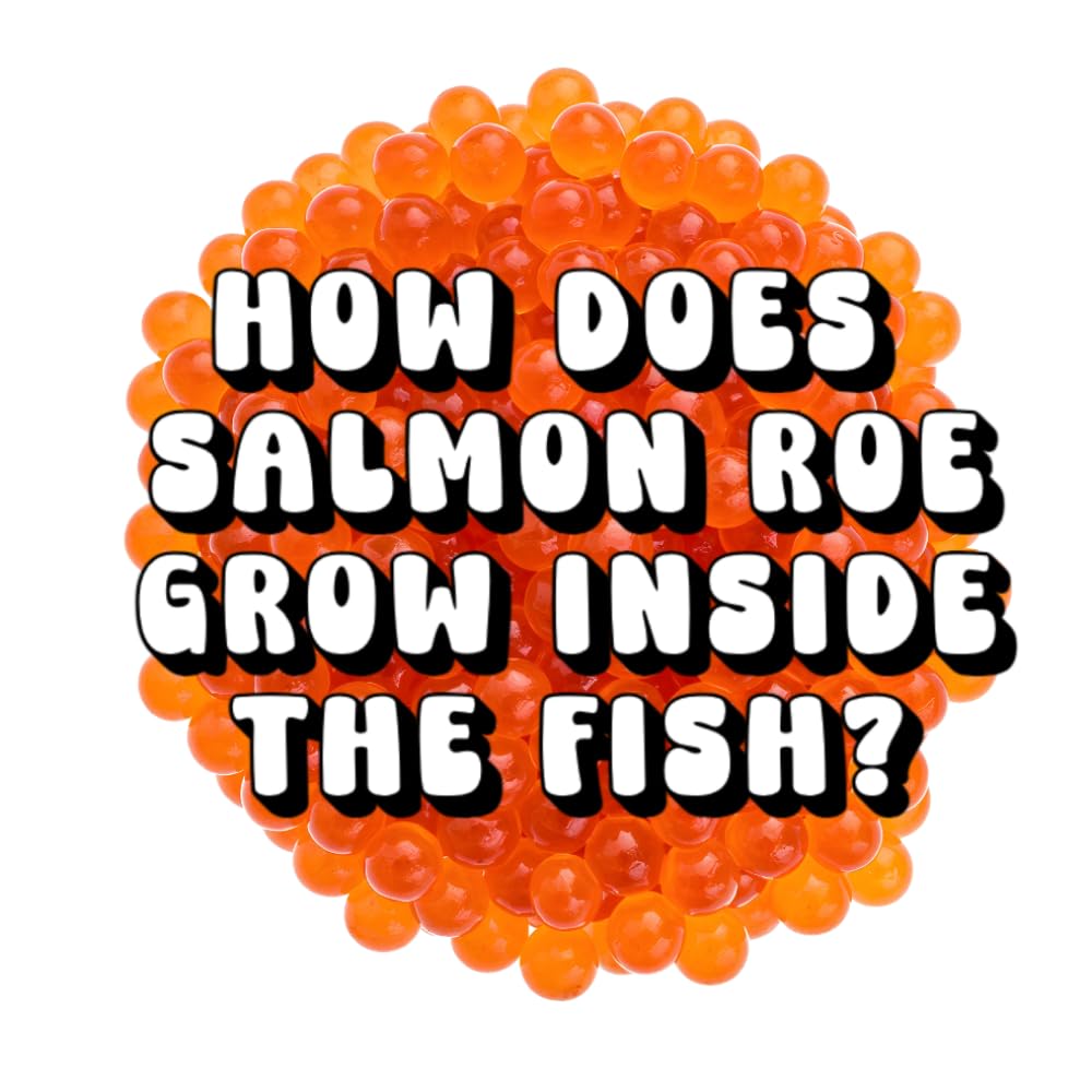 How Does Salmon Roe Grow Inside the Fish?