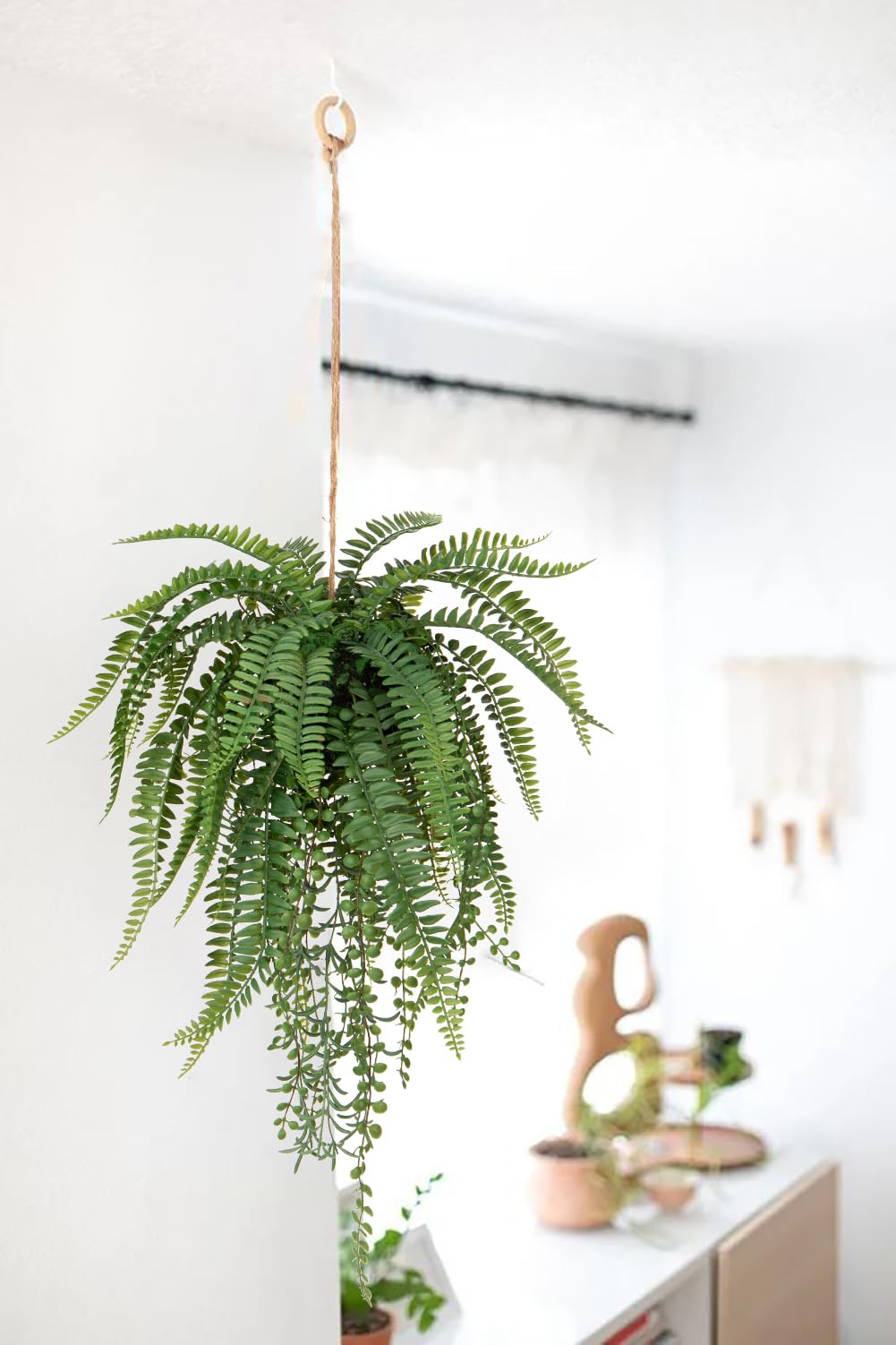 indoor succulent planter Mixed Succulent Planter – GillyFlowers main image 0