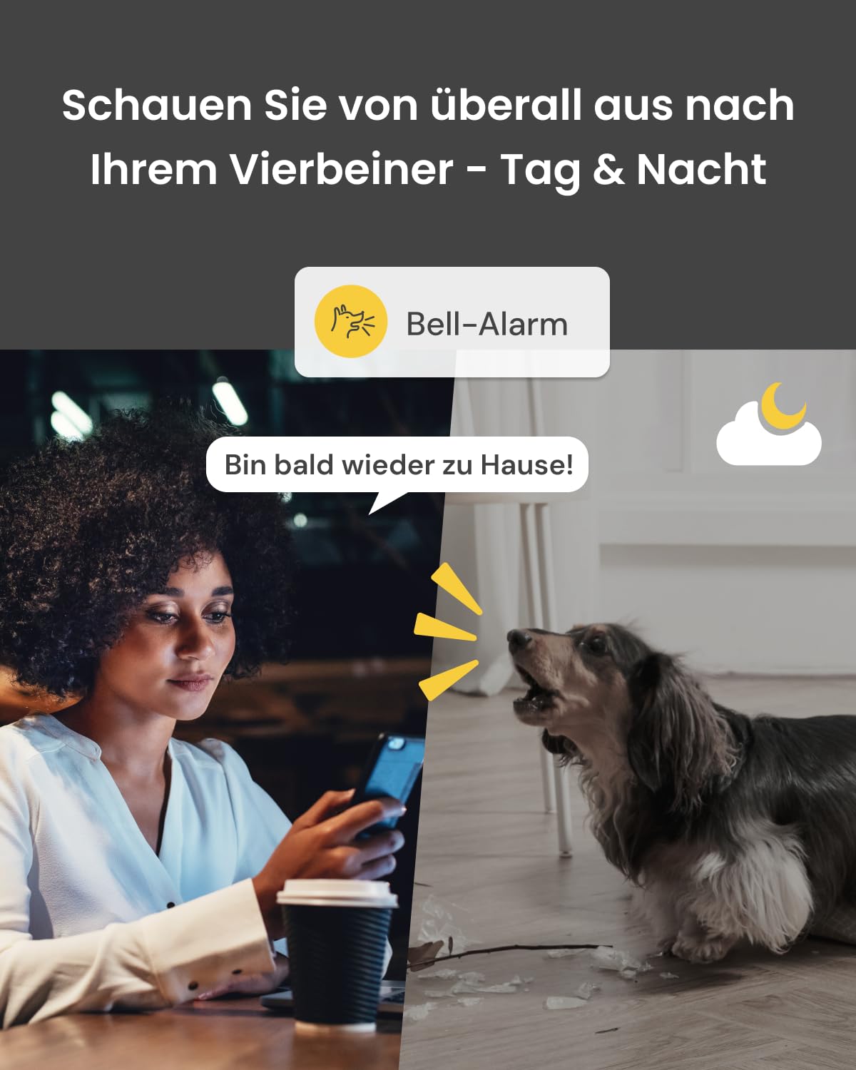 Furbo 360° Hundekamera [Basic Kamera]: Haustierkamera mit App, Rotierende 360° Sicht, Farbnachtsicht, Tracking, Leckerliwurf, Bell-Alarm, der Favorit von Haustierbesitzern auf der ganzen Welt