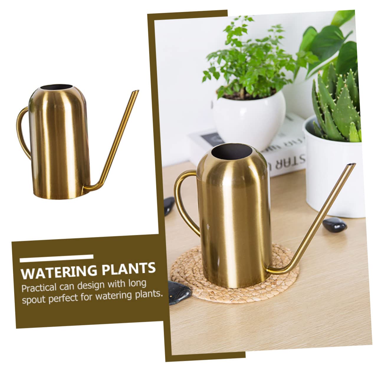 HANABASS 1 Pieza Regadera Inoxidable para Riego de Plantas y Suculentas Diseño Ergonómico y Duradero para y