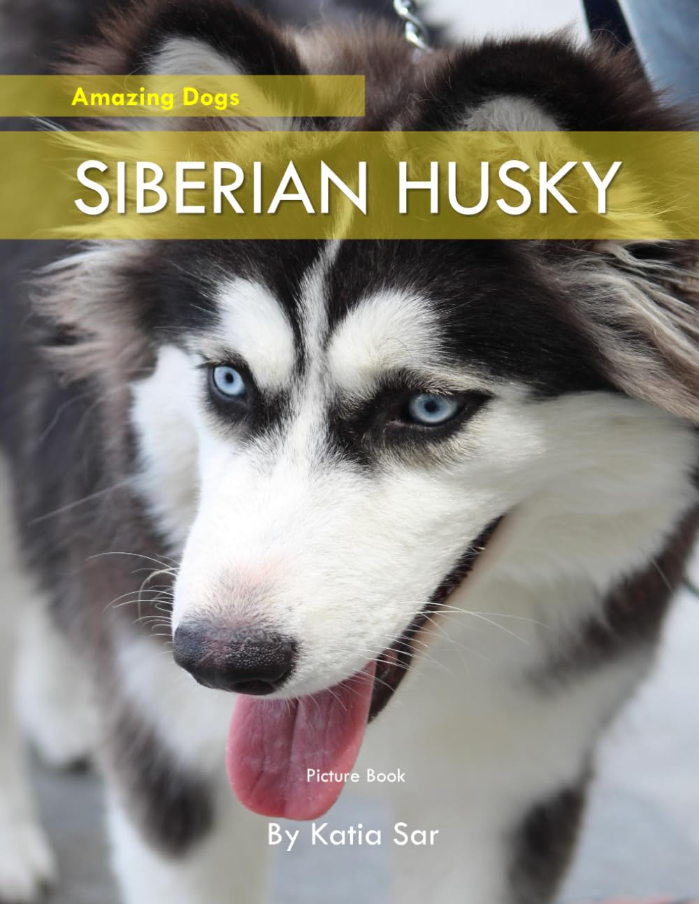 Siberian Husky: A perfect Picture Book - For Dog lovers and Pet Owners .