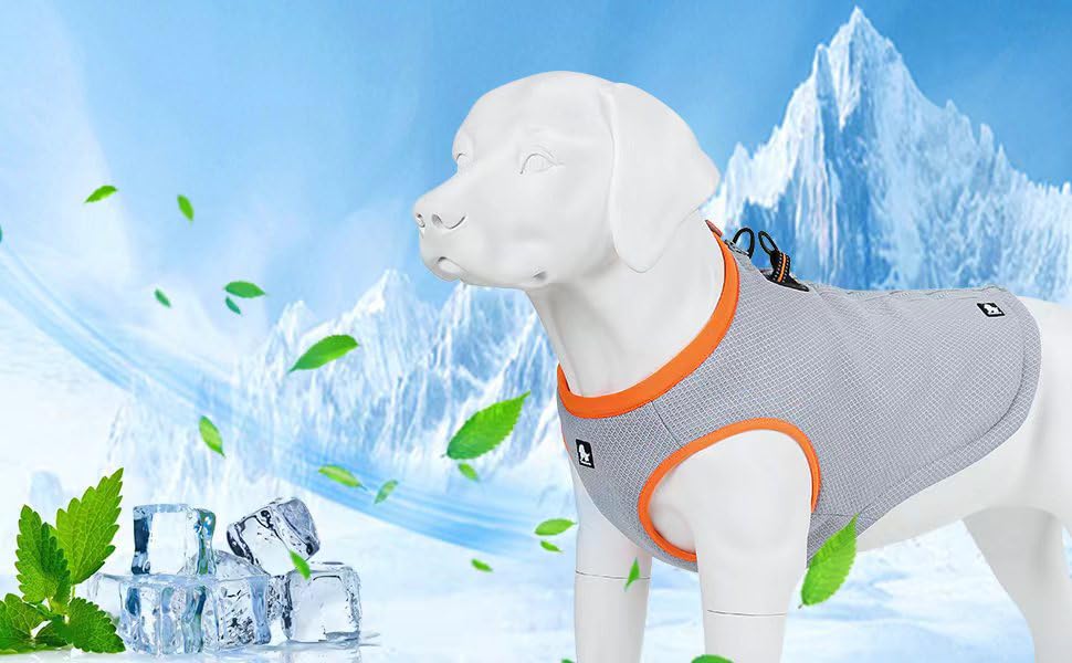 MOKCCI Truelove kühlweste für Hunde Hund Kühlweste Geschirr Kühler Jacke mit Verstellbare Reißverschluss für Outdoor Jagd Training und Camping