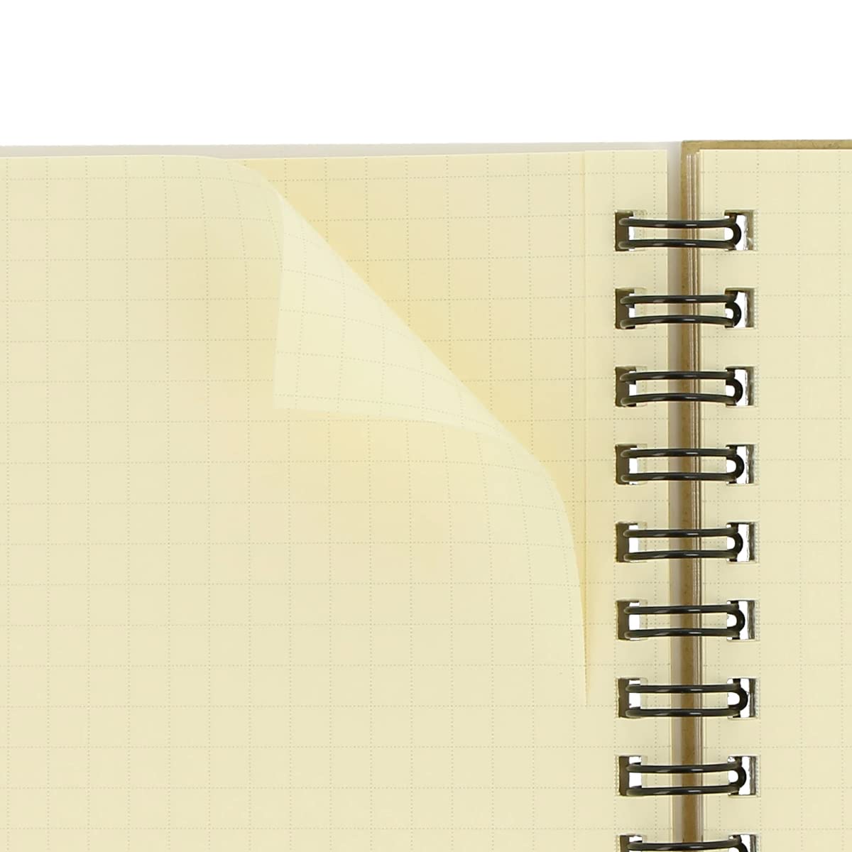 Amazon | [デルフォニックス]【5冊セット】ロルバーン ポケット