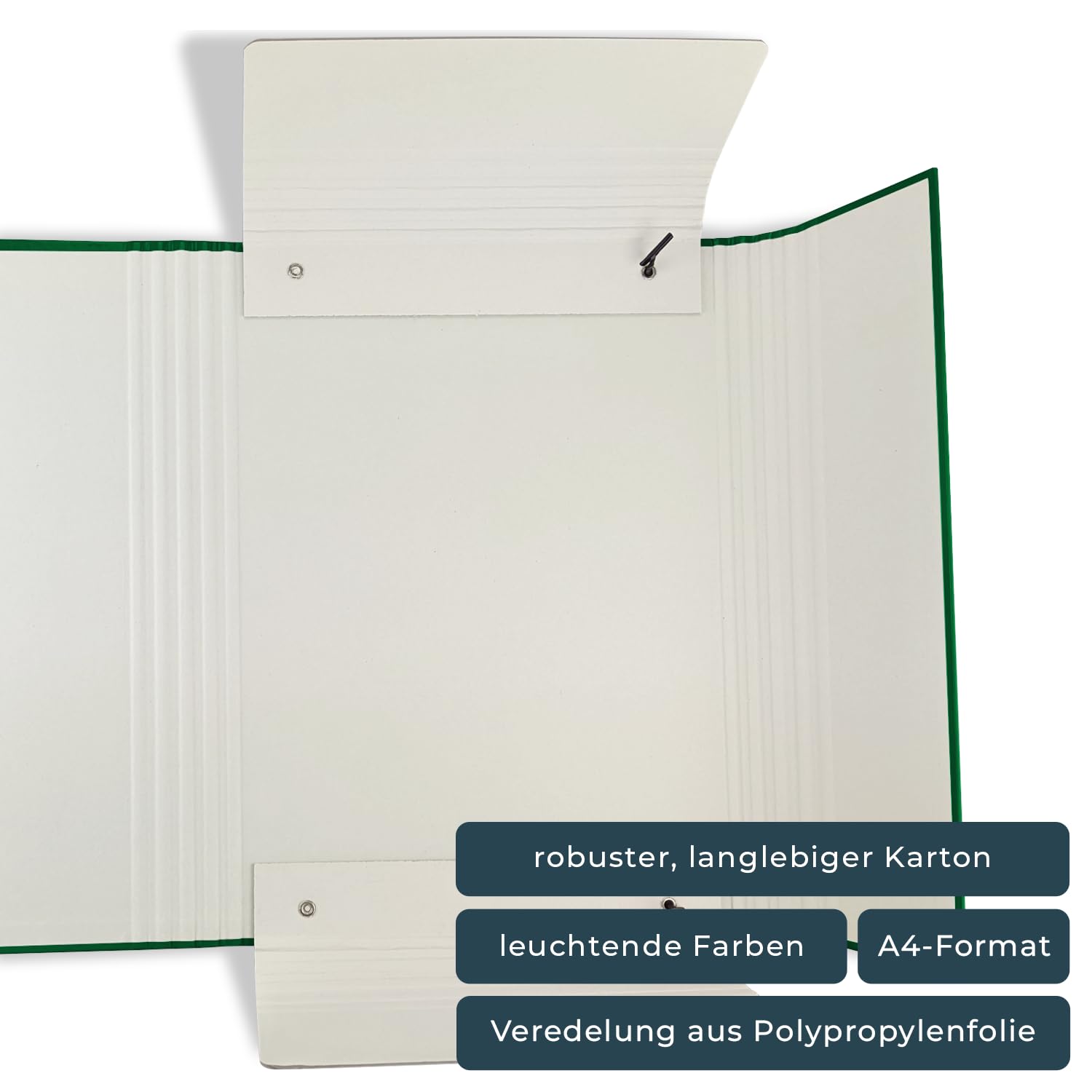 Cartellina Portadocumenti A4 Con 3 Alette Ed Elastico - Verde, 30 Mm Dorso - Foto 5