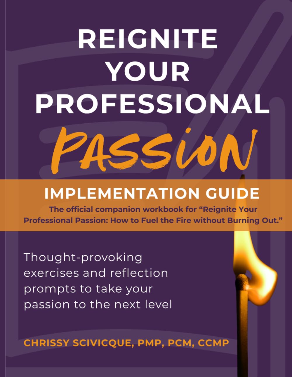 Reignite Your Professional Passion: Implementation Guide