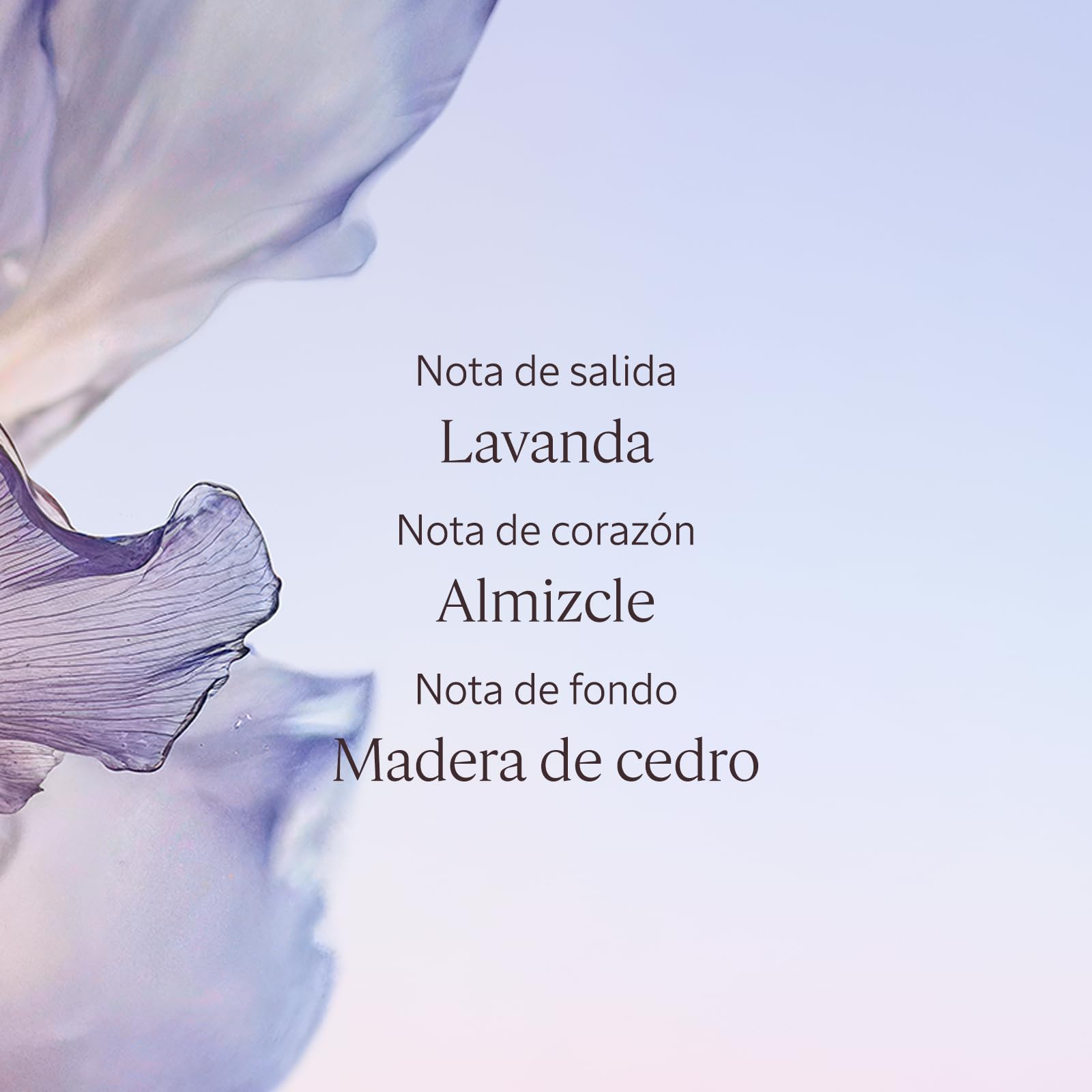 L'OCCITANE - Eau de Toilette Lavande Blanche (Lavanda Blanca) - 50 ml | Notas almizcladas, frescas y delicadas - Acordes de Lavanda, Almizcle y Madera de cedro - Fabricado en Francia