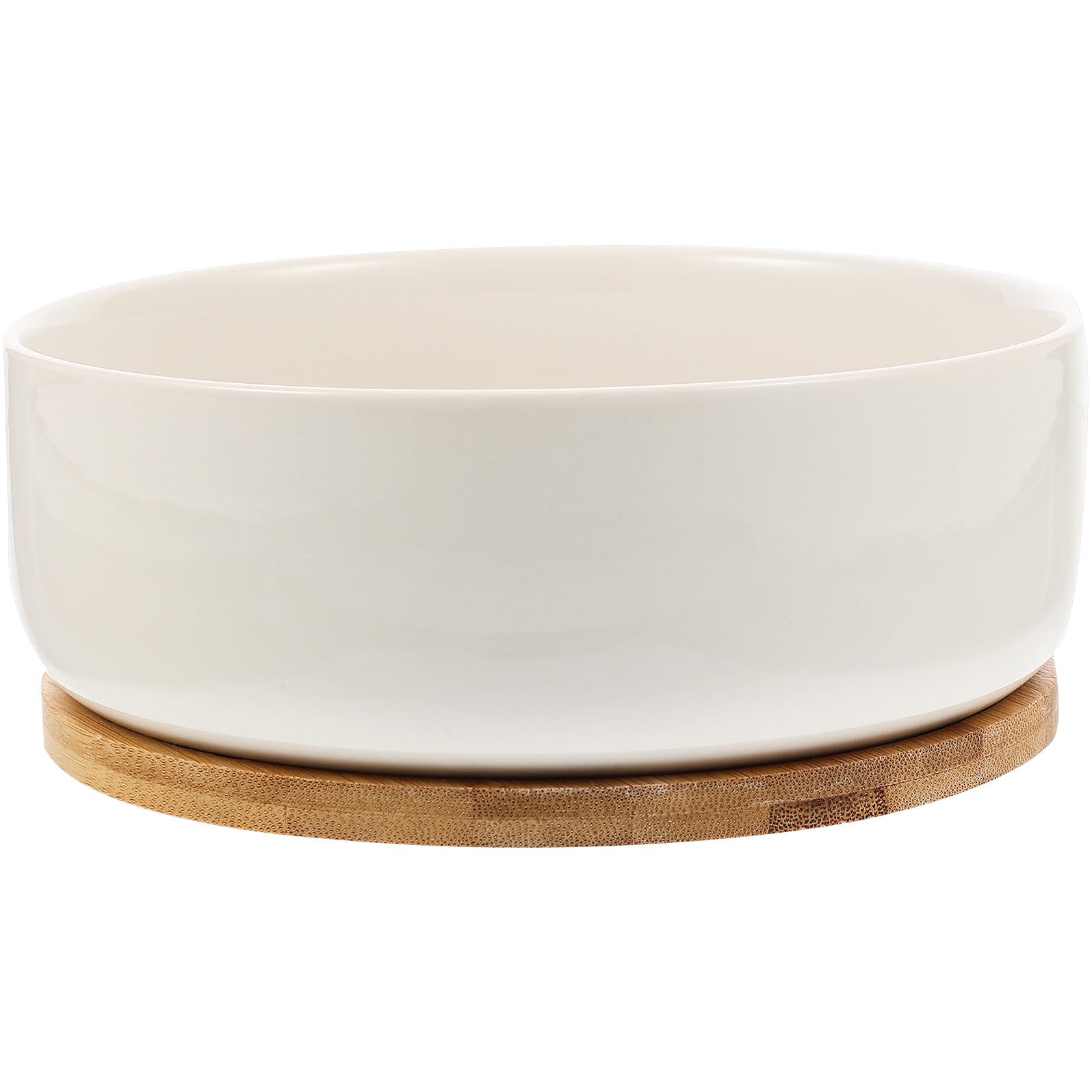 Pot en céramique blanc pour plantes et petit cactus intérieur avec coupelle