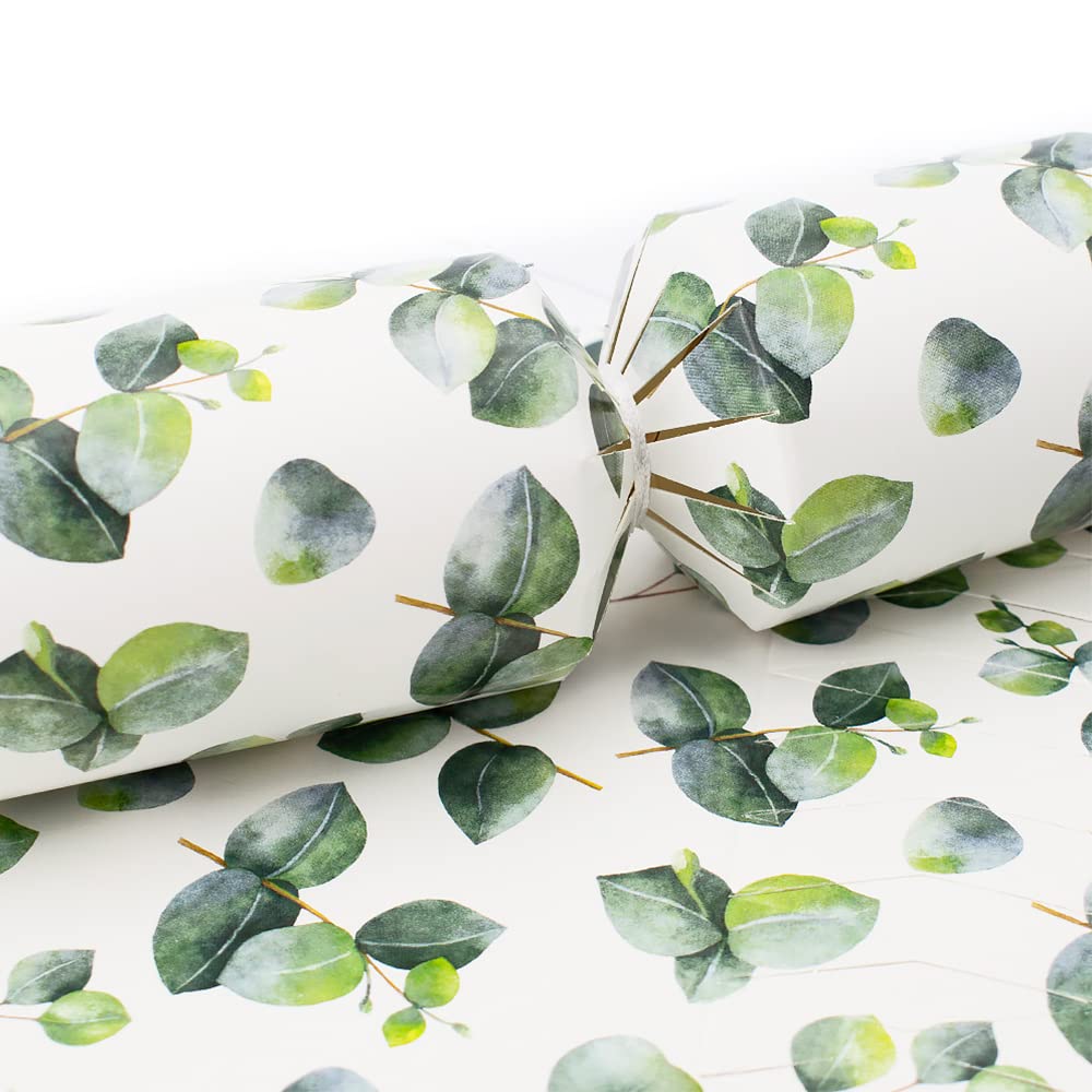 That's Crackers! 6 Large Watercolour Eucalyptus Cracker Making Craft Kit - Make & Fill Your Own