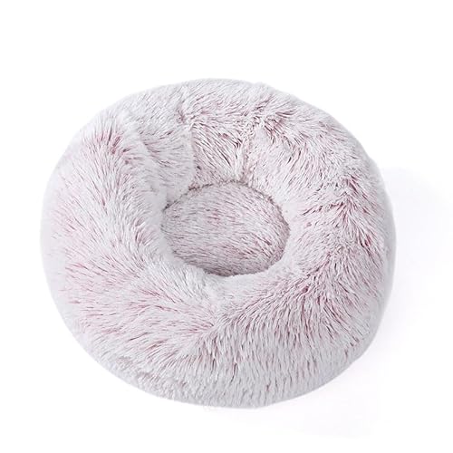 ybgxbh L  NbV ی^ h[icxbh ӂӂ ybg}bg 􂦂 ~ߕt g xbh  ۉ h Lzc _炩 ^ ^ ^ LQ 傫 Lxbh ~p ʋC ˂ lRxbh ΍ 킢