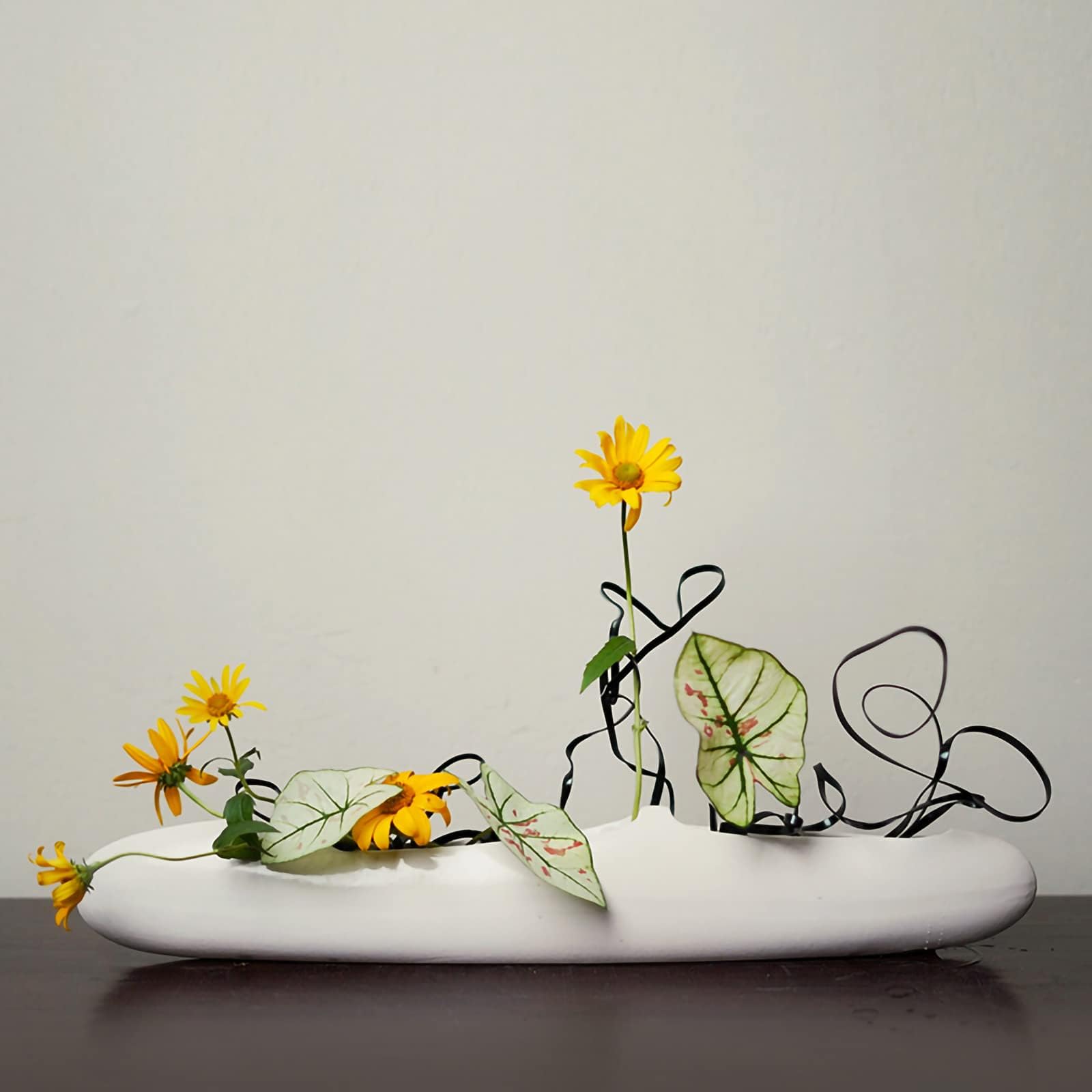 Amazon | Cilevizy 2点セット 花留 鶴の巣 剣山 生け花ツール フラワー