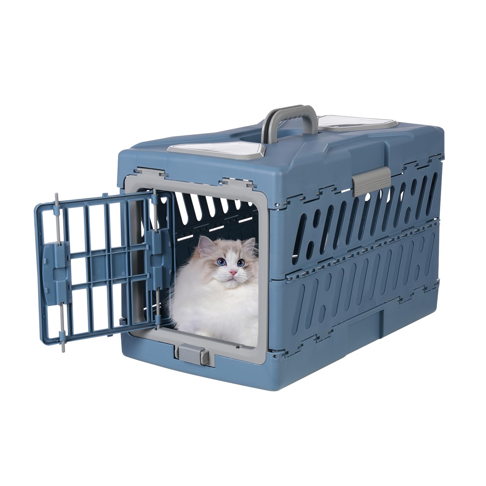 Trasportino per gatti, cani di piccola taglia fino a 20 kg, pieghevole, per il trasporto di animali, prese d'aria, 56 x 33 x 37 cm, contenitore rigido