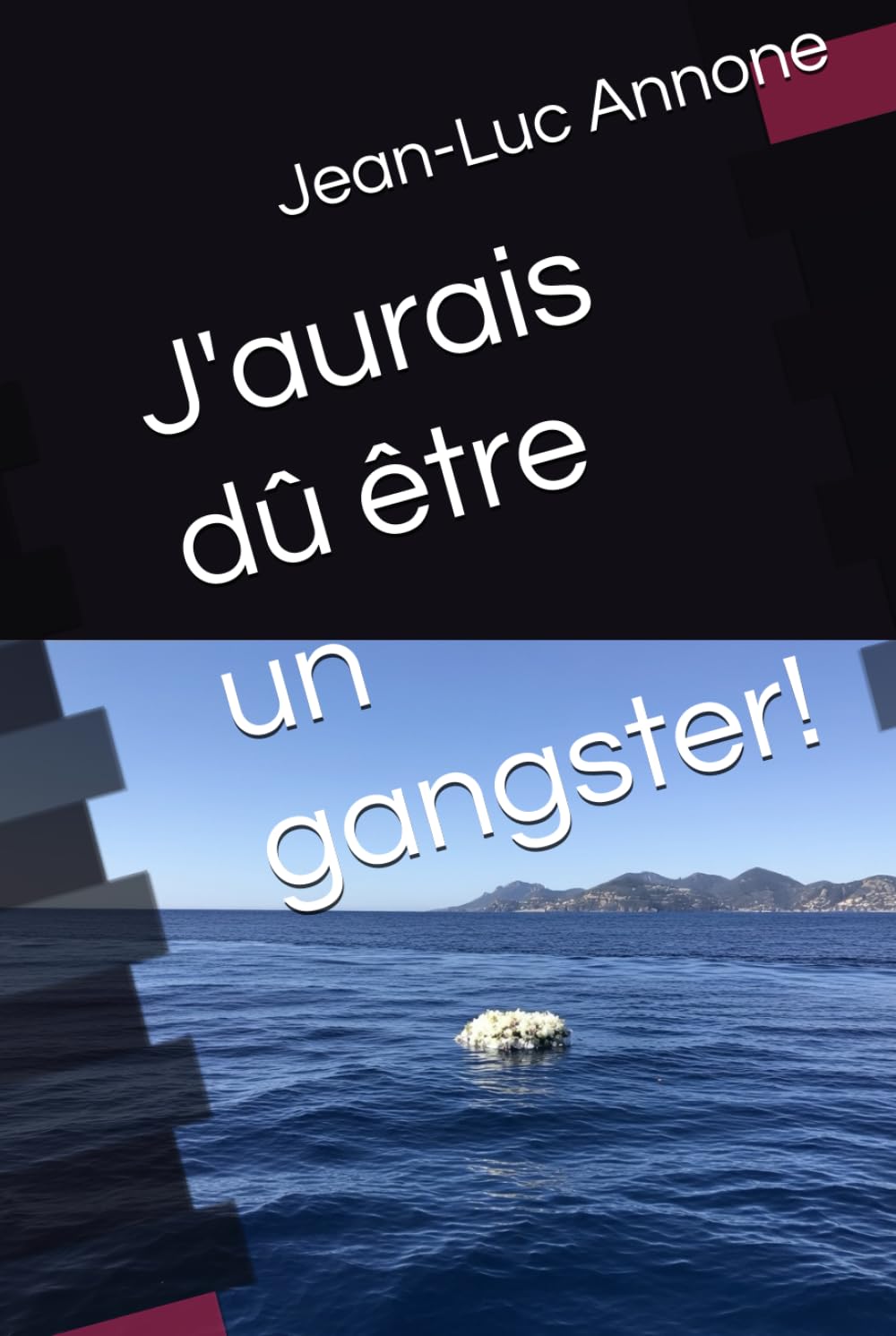 J'aurais dû être un gangster !