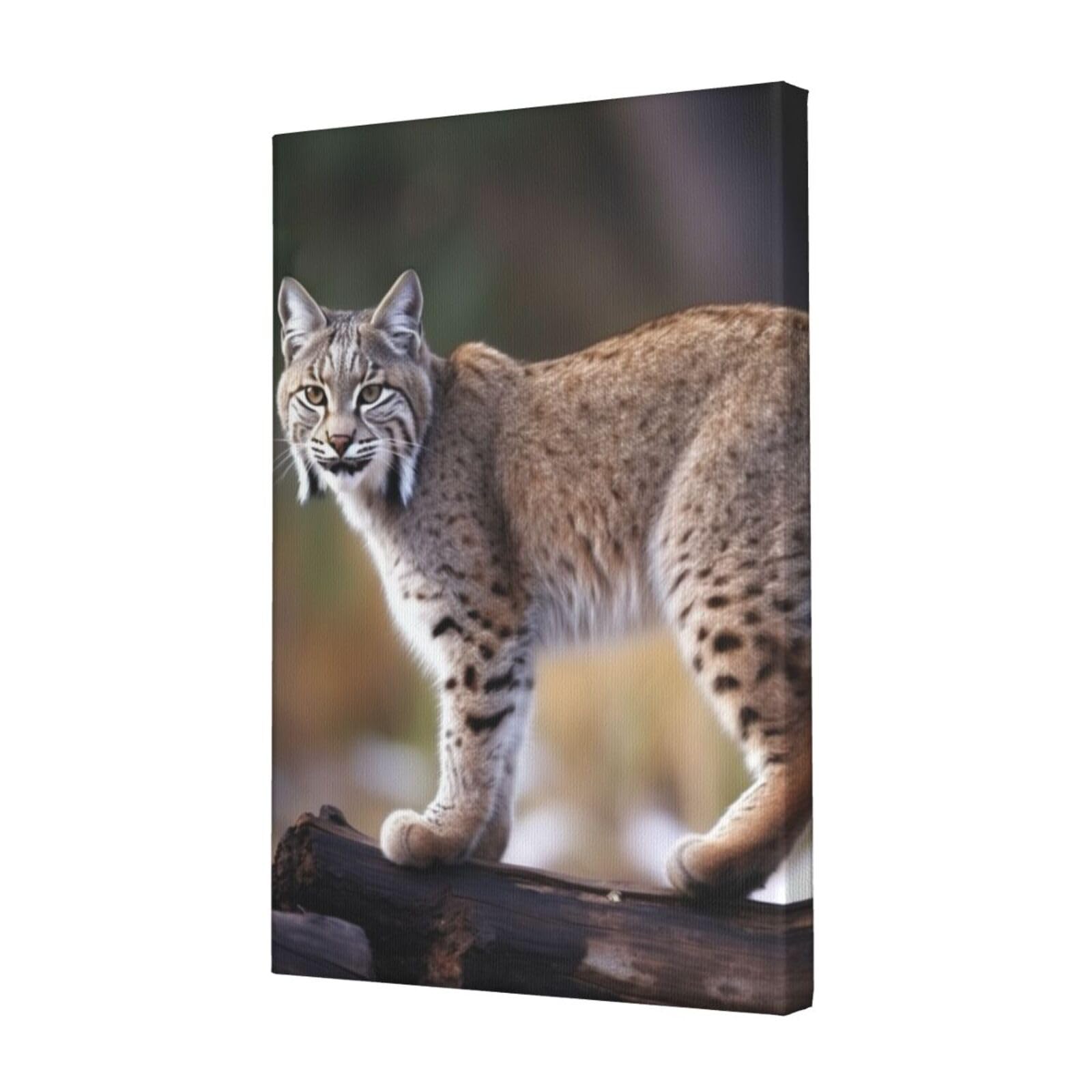 KLOPH Wild bobcat Canvas Wall Art for Living Room 12"x18" Modern Artwork Painting for Bathroom Hanging Canvas Prints Aesthetic Wallart for Bedroom Kitchen Office Wall Decor