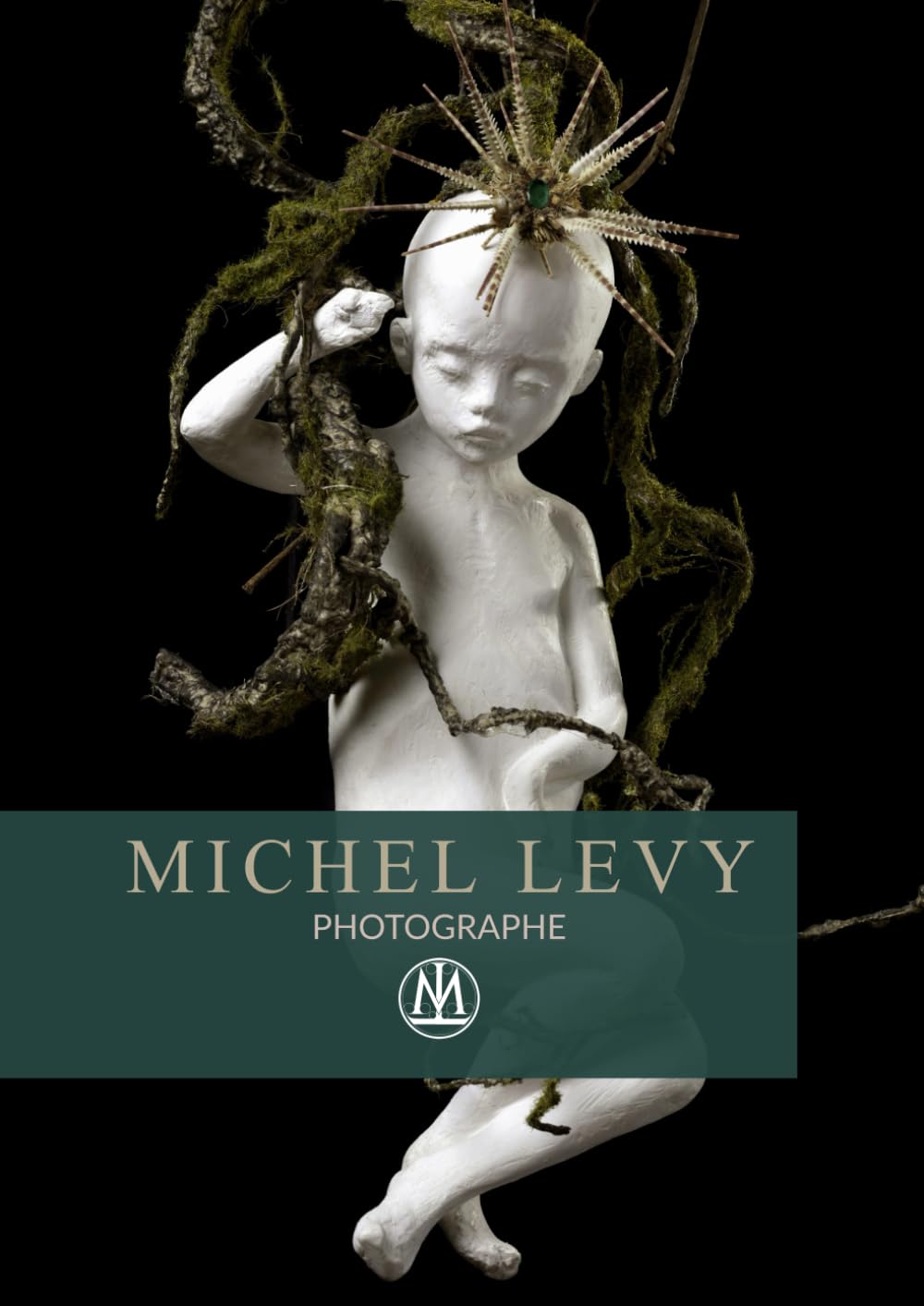 Michel Levy Photographies beau livre de salon pour sublimer votre décoration intérieure