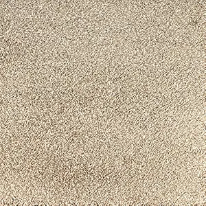 Peak Performance Peel and Stick Carpet Tiles, Attached Cushion, Easy DIY Install, Soft Carpet, American Made, Seamless Appearance, Plush, Great for Area Rug (10 Tiles - 22.5 Square Feet, Big Sur)