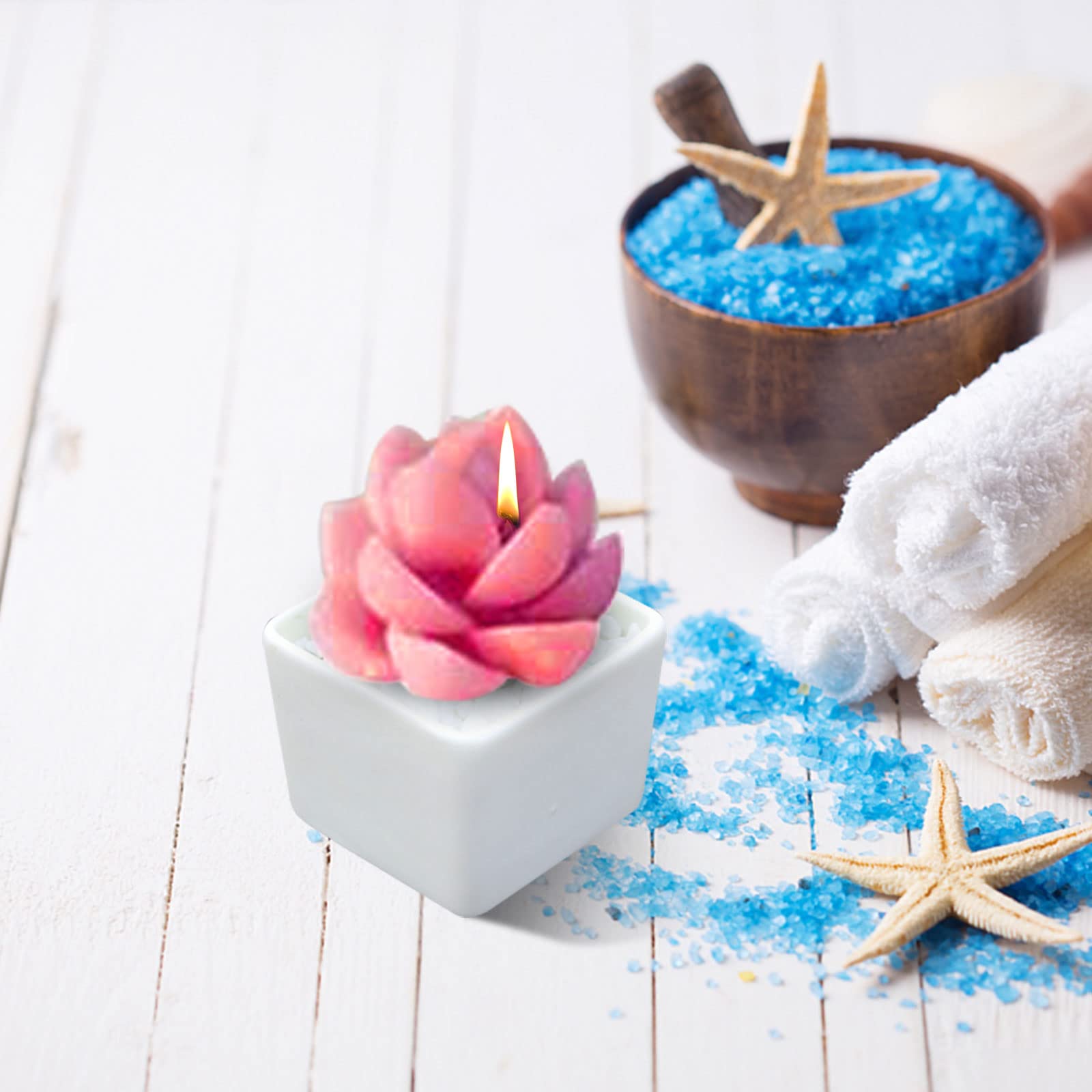 Stampi Per Candele In Silicone 9 Pezzi - Forme Cactus E Piante Grasse, Per Candele E Saponi - Foto 7