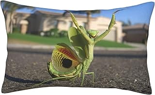 かわいい カマキリ アニメ 枕カバー 軽量 抱き枕カバー 寝具カバー 防ダニ 抗菌 防臭 ファスナー付き ポリエステル 四節通用 家庭用 封筒式 枕かばー 人気 プレゼント 40x60cm（16"x24") uu327