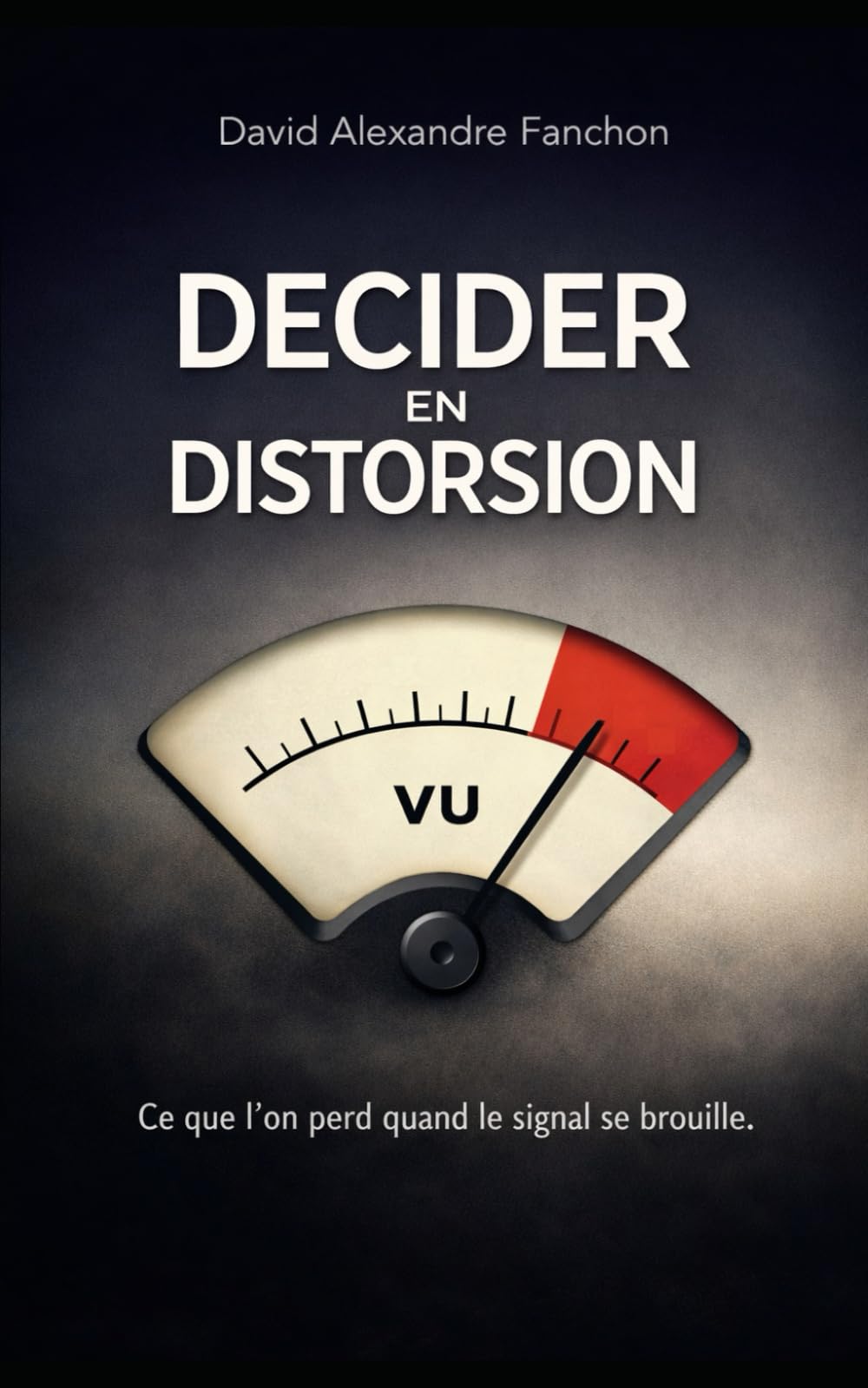 Décider en distorsion: Ce que l'on perd quand le signal se brouille