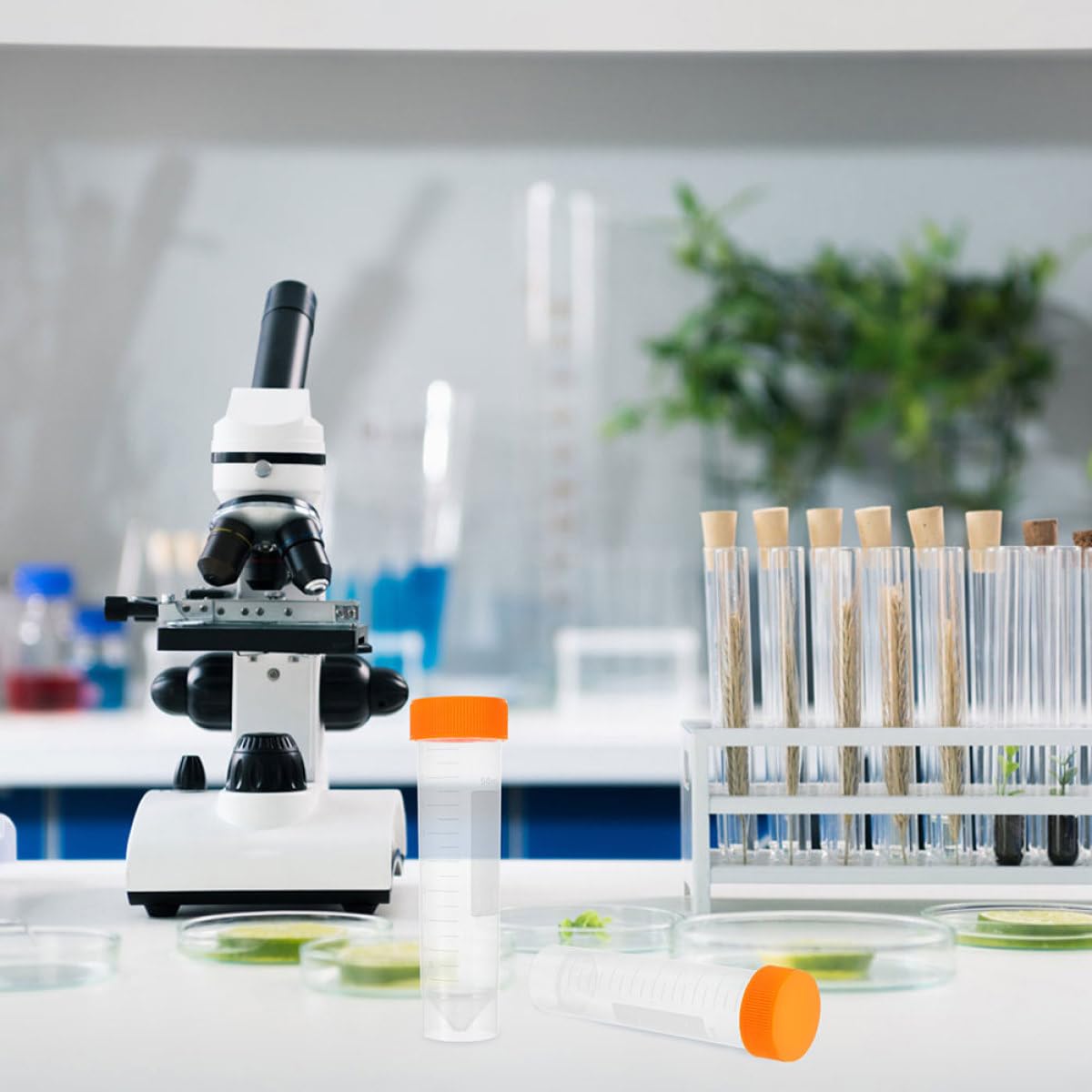 10 Stück 50 Ml Labor Zentrifugenröhrchen aus Polypropylen mit Schraubverschluss Auslaufsicher für Probenvorbereitung und Lagerung