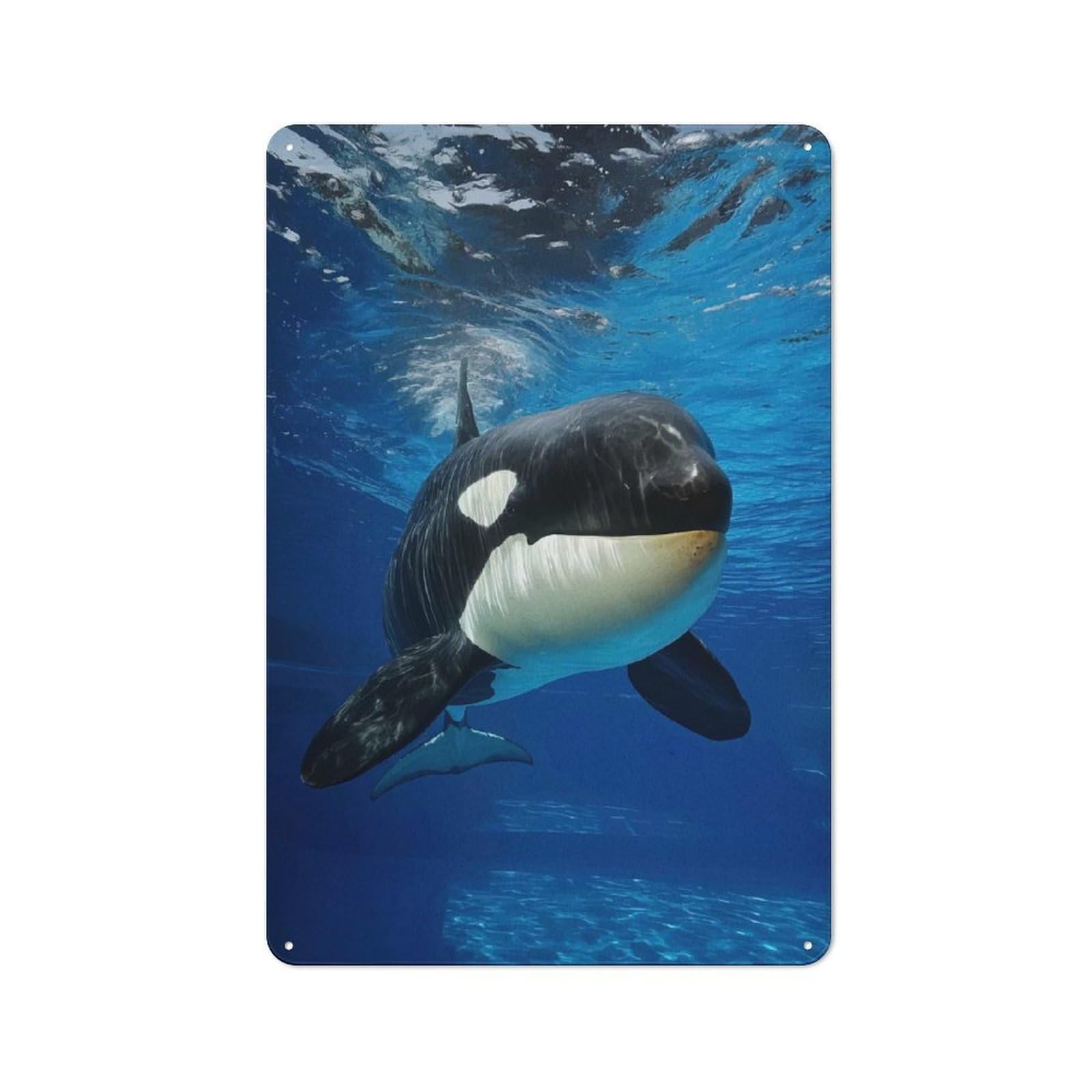 Junmoney Underwater Orca Portrait Retro Printed Metal Sign 30X20cm For Living Room Wall, Wall Decor For People Reorganising Living Room