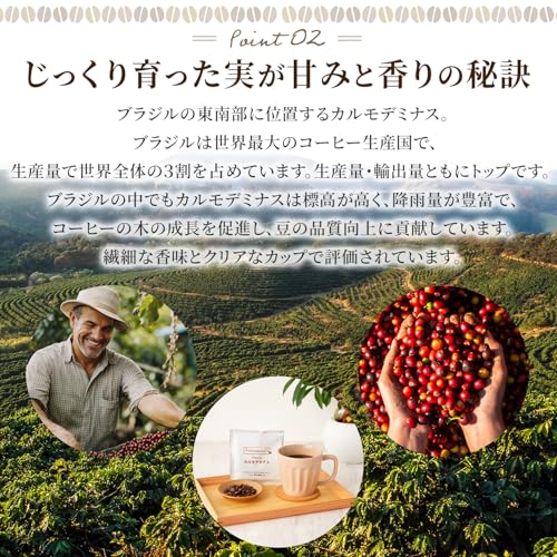 Professional's コーヒー ドリップバッグ ブラジル 12g×3