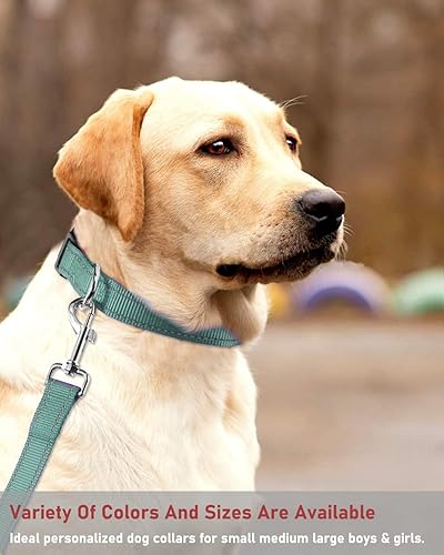 Vista 51 de Collar reflectante con hebilla para perro, ajustable, collares de seguridad de nailon para perros pequeños, medianos y grandes, color naranja